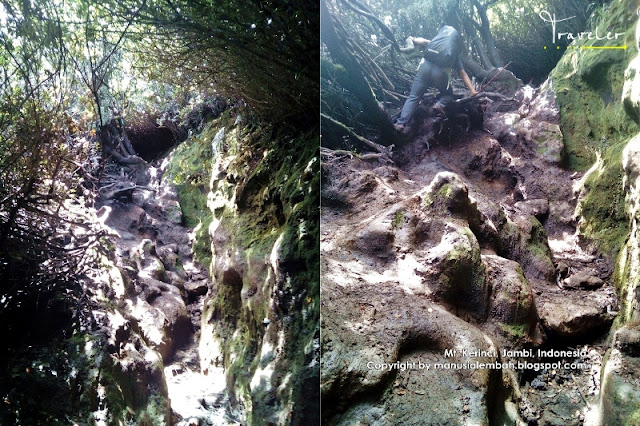 Pendakian Gunung Kerinci via Kersik Tuo