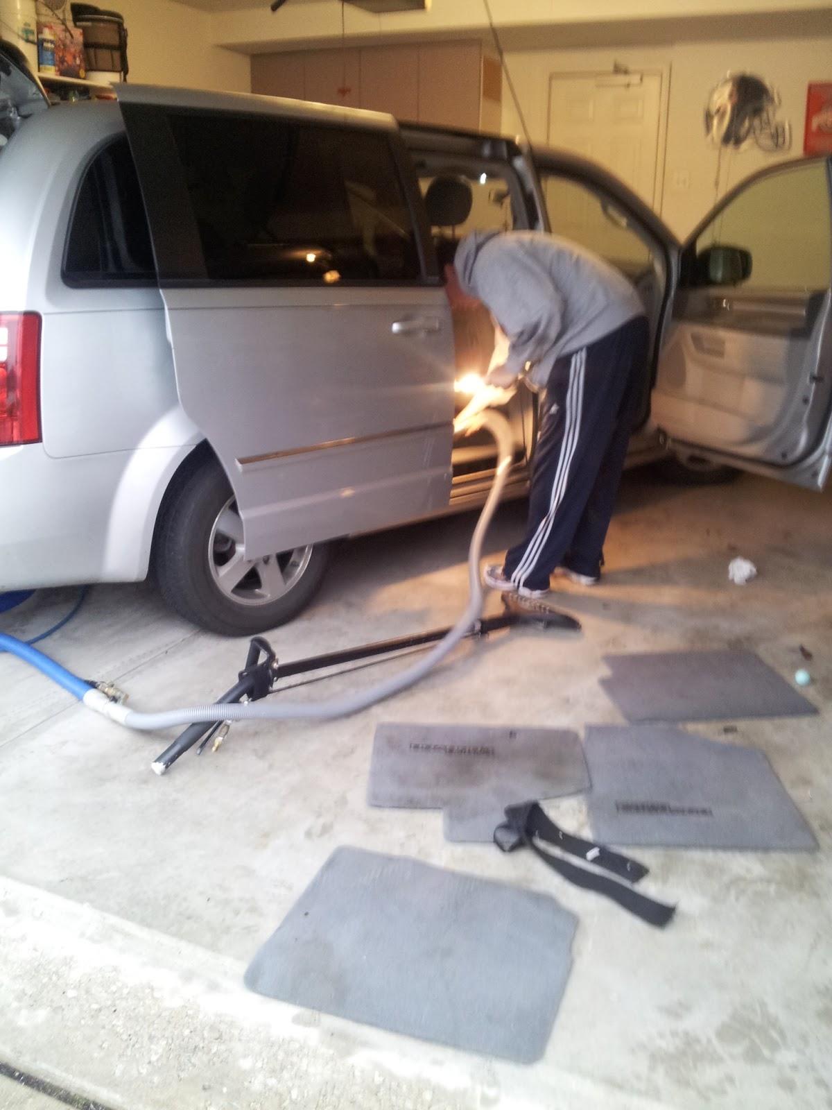 Chicago Carpet Cleaner cleaning pet stain odor removal tips free