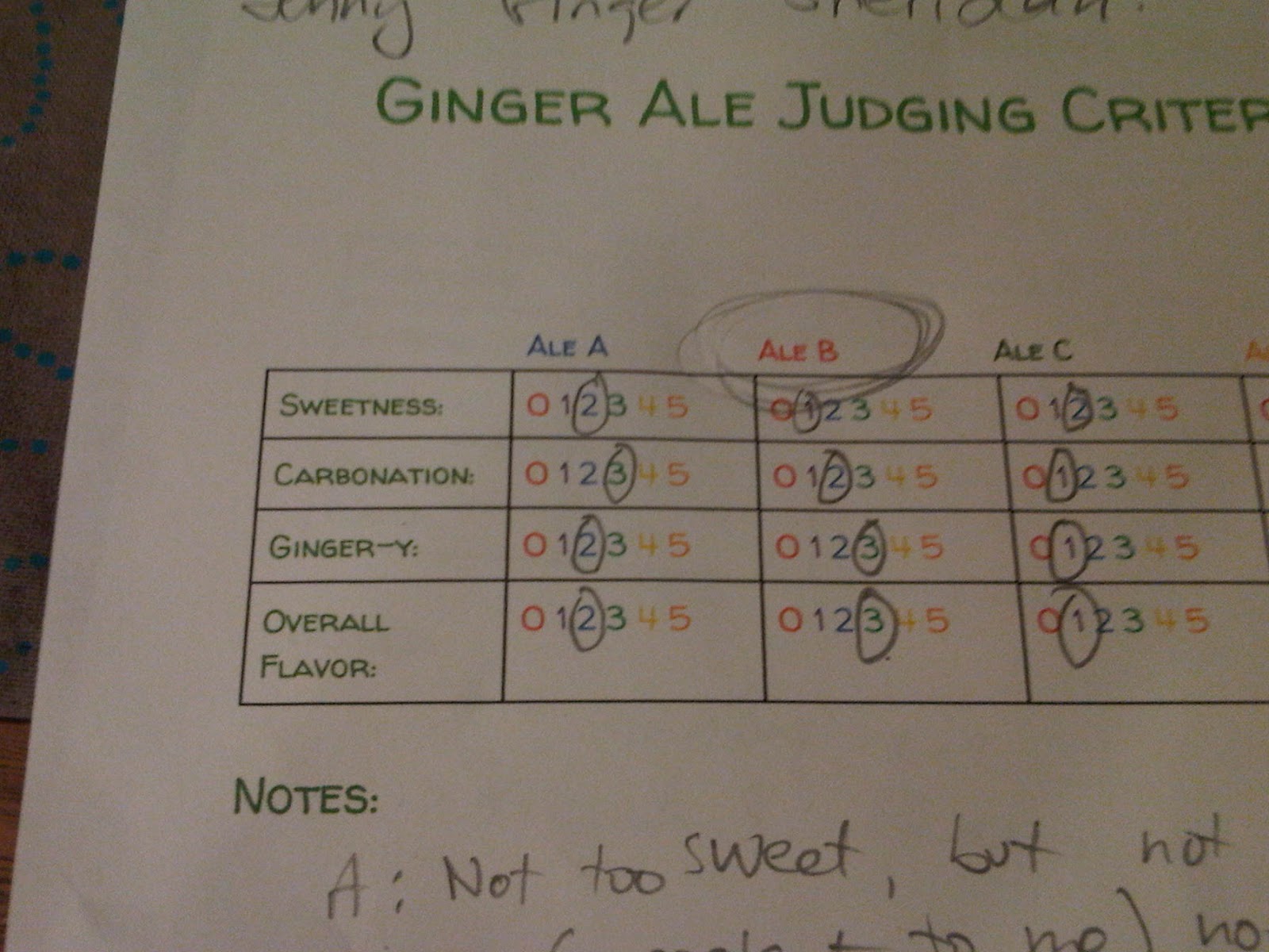 The Ginger Ale Inquiries Ginger Ale Taste Test!!!