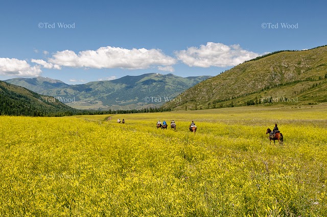 Patrimonio de la Humanidad Montañas Doradas de Altái. Rusia 1998