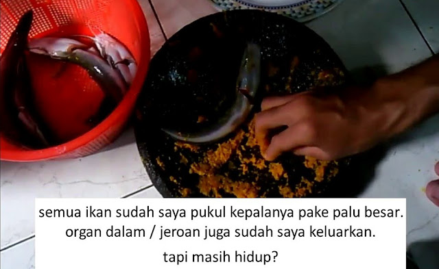 Adab Mematikan Ikan yang Baik dan Tepat Sesuai Sunnah Nabi 