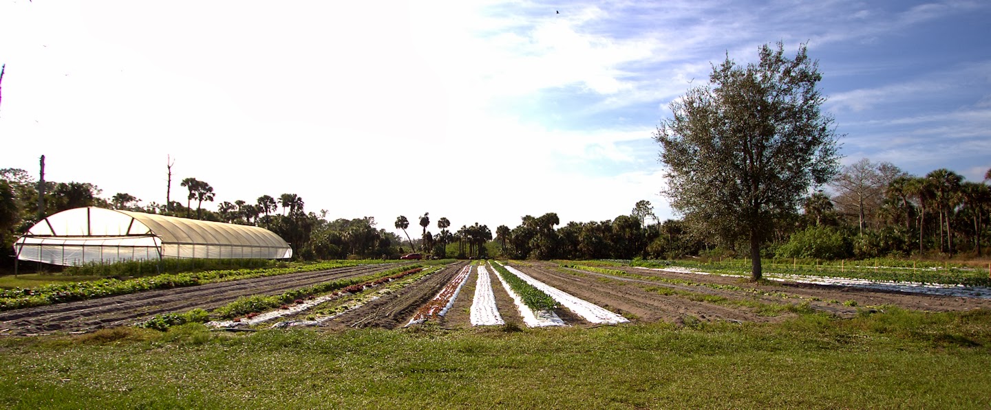 Southwest Florida Forks Inyoni Farms