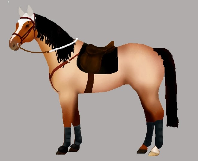 Bel Joeor What color looks best on your horse?