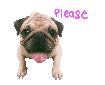 Line クリエイターズスタンプ Teddy The Pug Ver 02 Example With Gif Animation