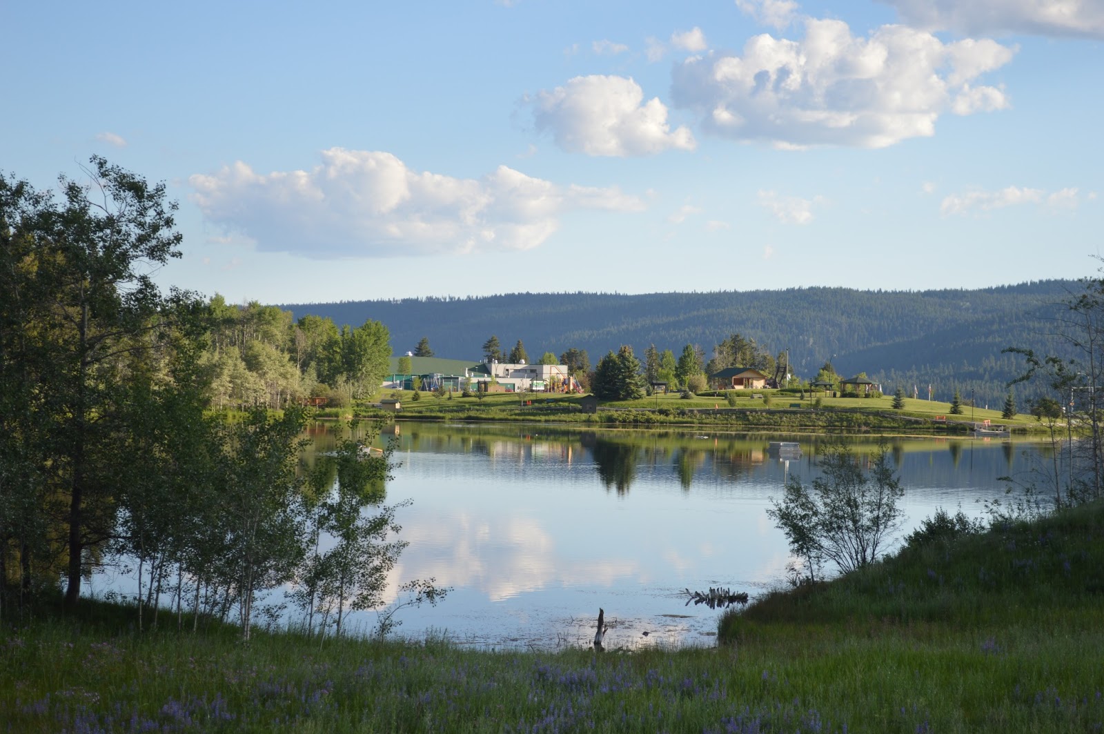 Footloose Back to Logan Lake for the summer in time for the Canada Day