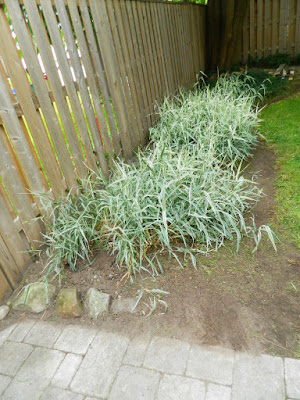 Upper Beaches Toronto backyard cleanup after by Paul Jung Gardening Services Upper Beaches Toronto backyard cleanup after by Paul Jung Gardening Services