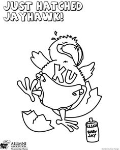 Jayhawk Coloring Page Covid Outbreak