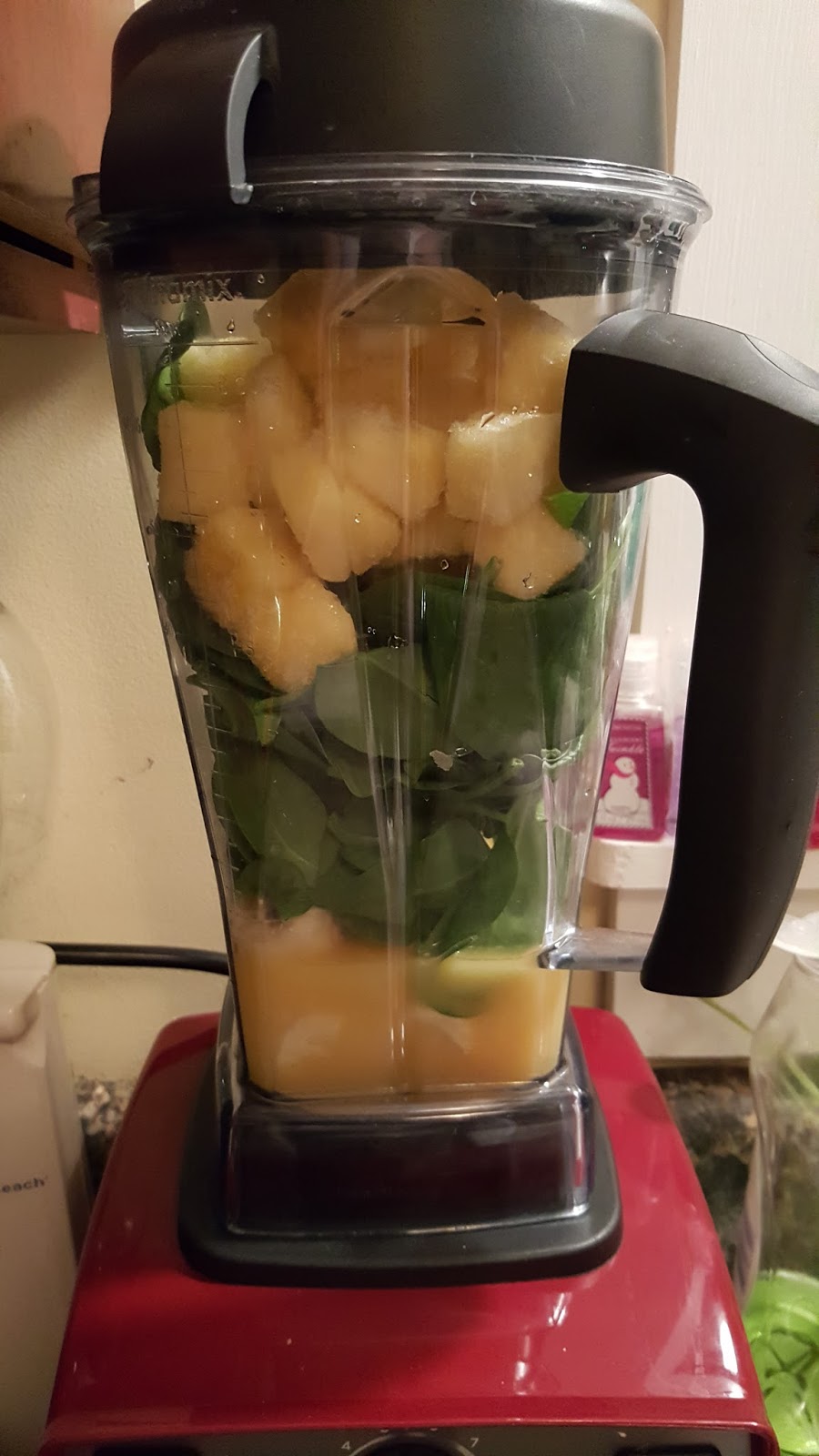 Adventures Of A Fat Girl Running For Her Life! Vitamix...Why You Need