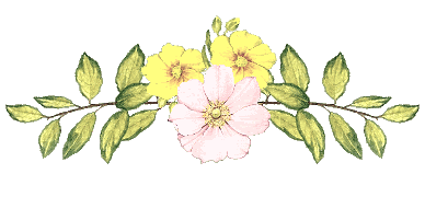 13400423439.gif