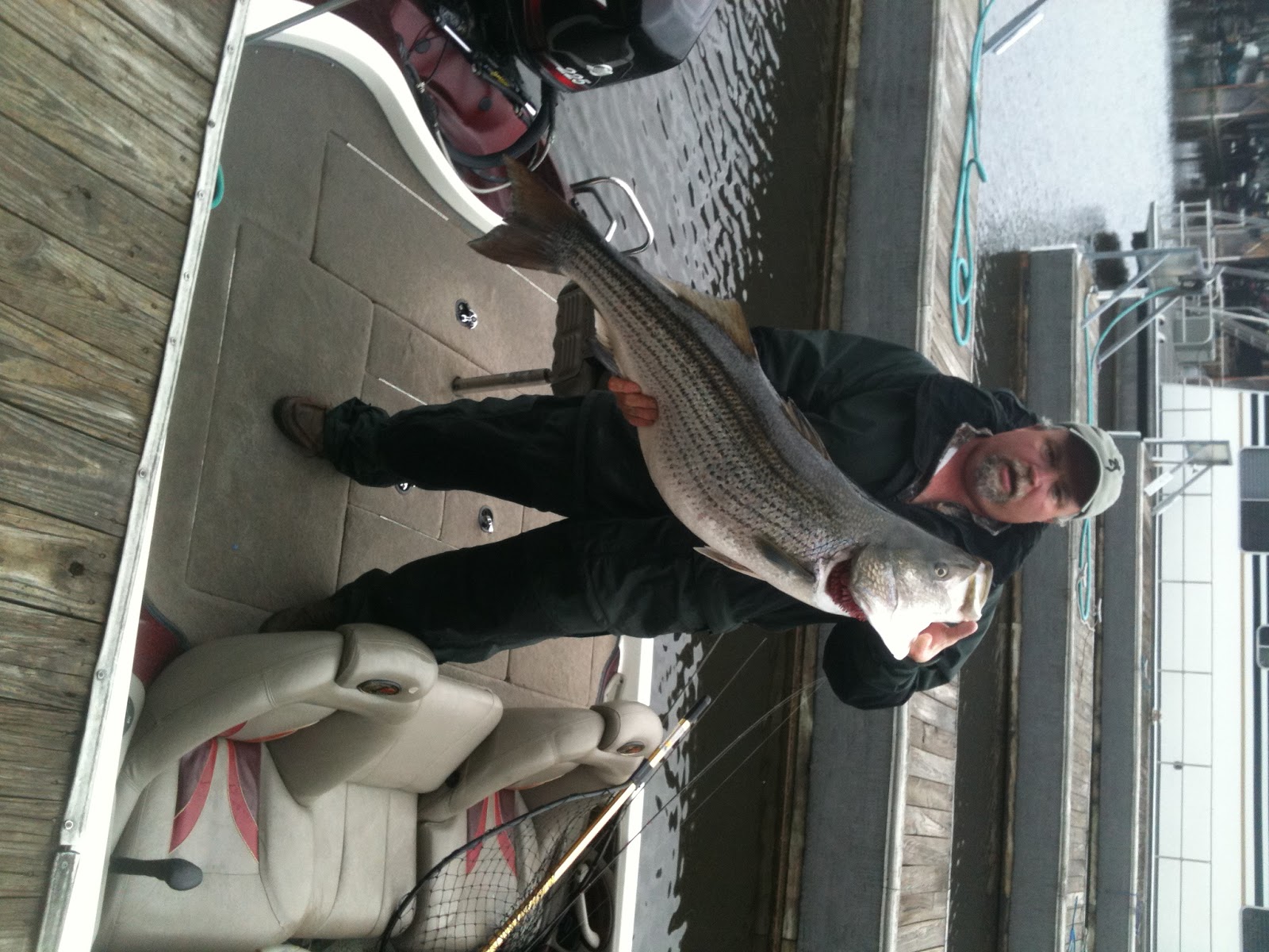 to Pontiac Cove Marina on beautiful Bull Shoals Lake Fishing