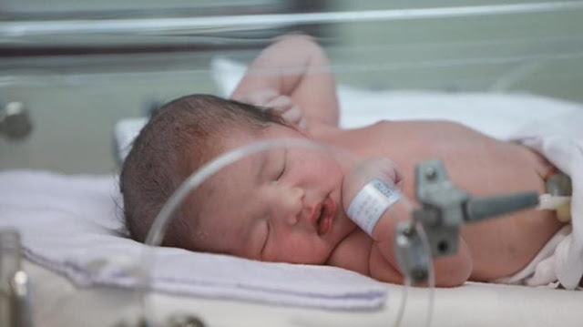 Bikin Penasaran Netizen, Inilah Nama Yang Diberikan Anang Hermansyah Saat Lahirnya Bayi Laki-Laki di Hari Sumpah Pemuda Bikin Penasaran Netizen, Inilah Nama Yang Diberikan Anang Hermansyah Saat Lahirnya Bayi Laki-Laki di Hari Sumpah Pemuda