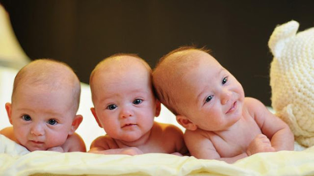 Foto Bayi Kembar Tiga