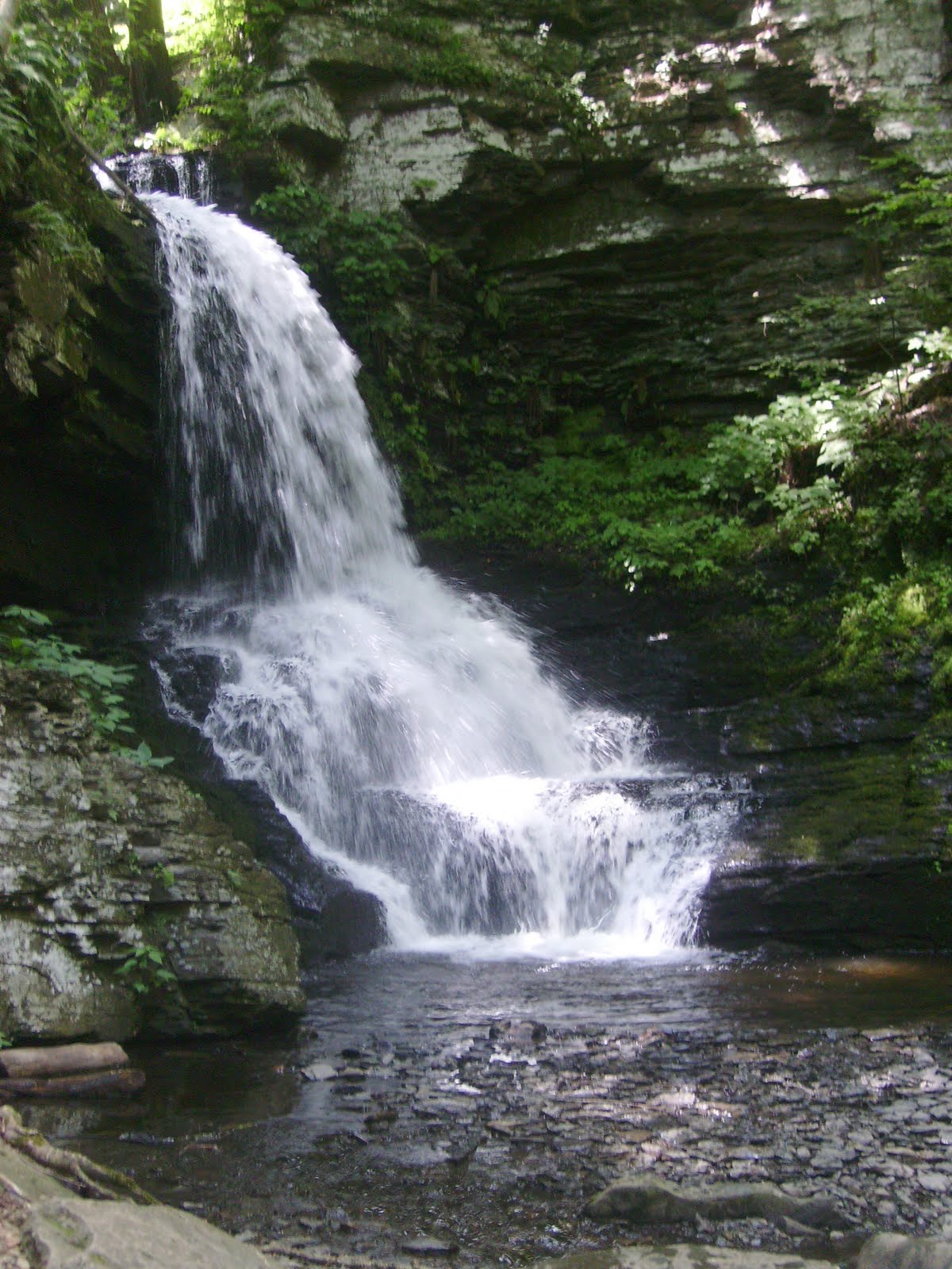 Live Happily: Bushkill Falls!