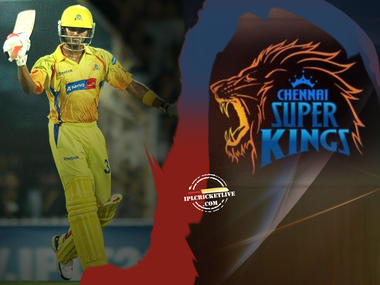 Free Picture photography,Download Portrait Gallery: chennai super kings