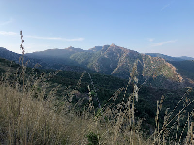 View from trail 253 toward Castello del Volterraio.