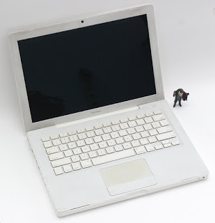 MacBook Core2Duo (13-inch, Early 2008)