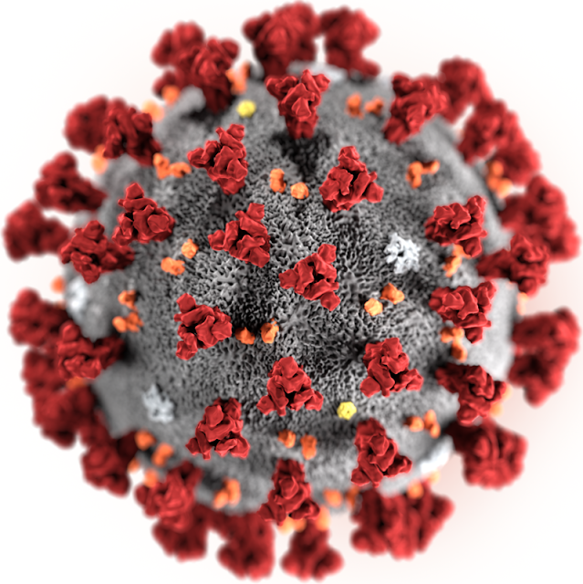 vista 3d de coronvirus