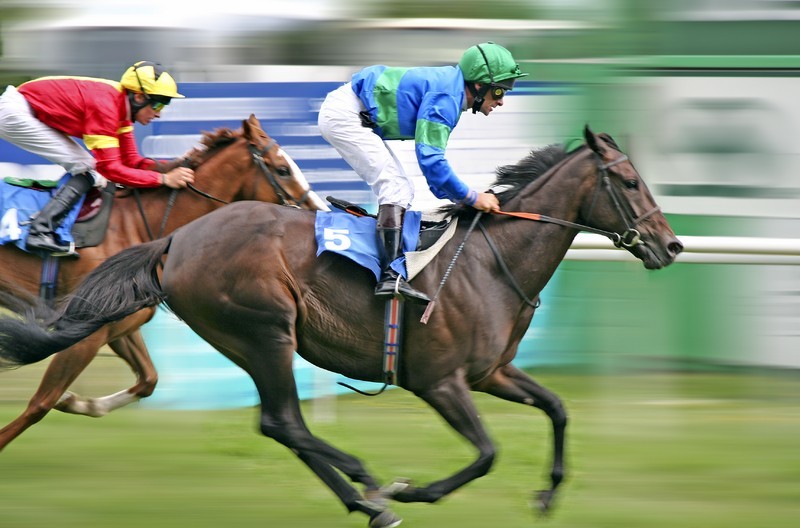 Top 31 Amazing And Dashing Horse Racing Wallpapers In HD