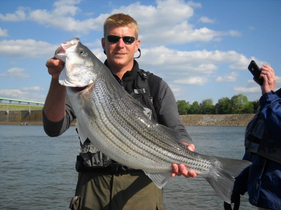 Fish On! Guided Tours. Knoxville, Tn Knoxville Tennessee's Premier