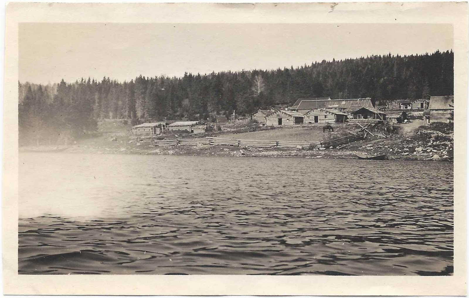 Heirlooms Reunited c 1918 Photographs of Maine Logging Camps in