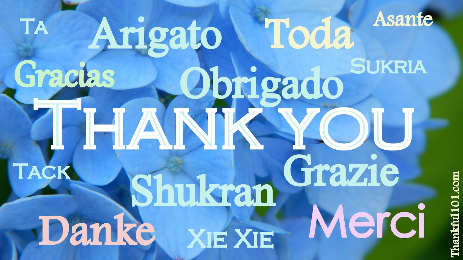 Maestro sin vocación: 20. Dar gracias es una acción, no una tradición