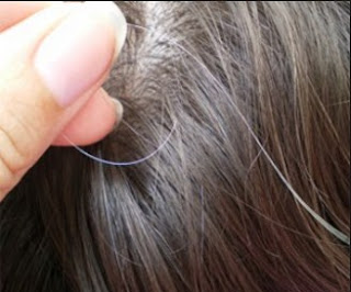 http://tipsmodelrambut.blogspot.com/2015/07/tips-menghilangkan-uban-secara-alami.html