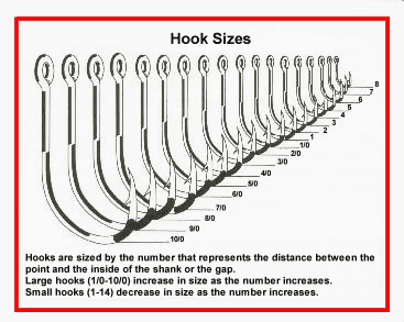 Fishing Hook Sizes Charts : Fishing Reels