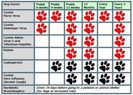 Cochise County 4-H Dog Project