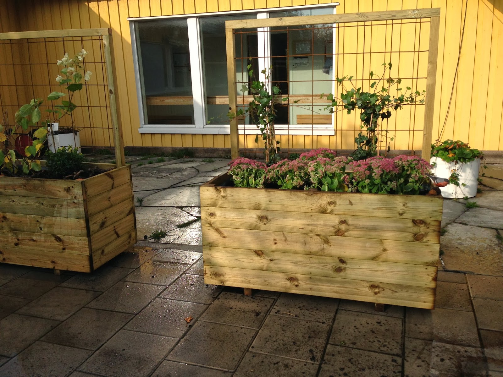 Trädgård och design för alla: oktober 2013