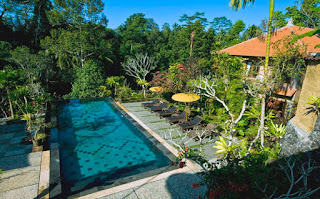 Hotel Career - Reception at Abing Terrace Resort at Banjar Kebon, Tegalalang