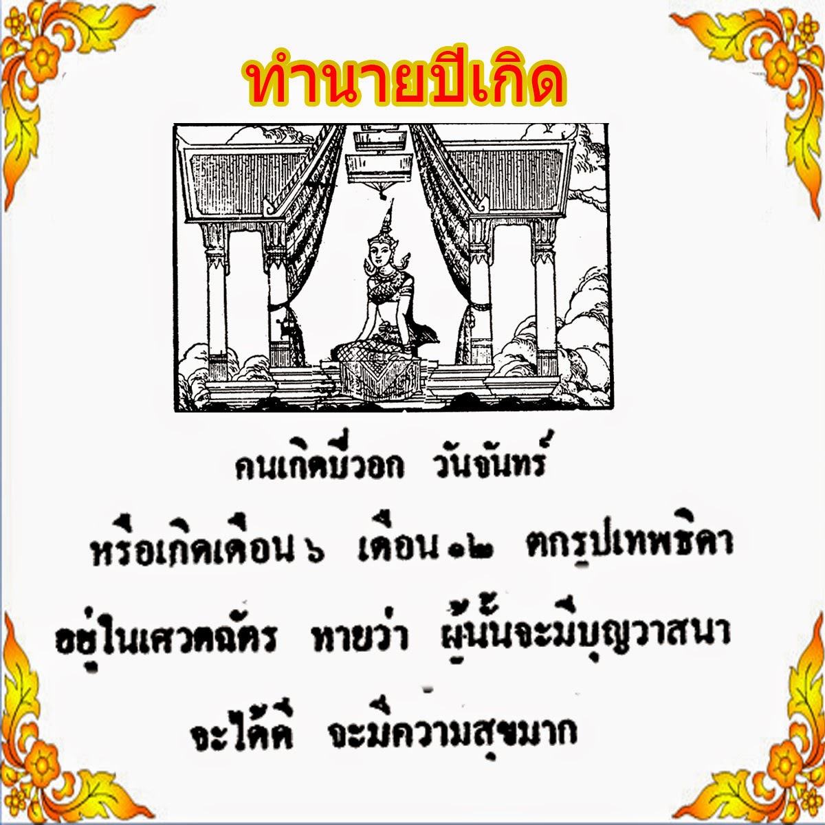 My Image 23