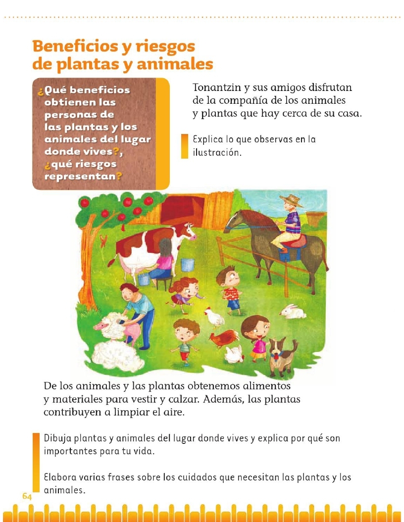 Beneficios y riesgos de plantas y animales - Bloque II - Lección 4 -  Apoyo-Primaria