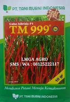 CARA MENANAM CABE, TANAMAN CABE, BUDIDAYA CABE, CARA MENANAM CABAI, LMGA AGRO