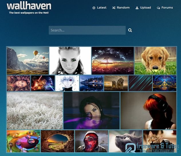 Wallhaven : des millers de fonds d'écran à télécharger