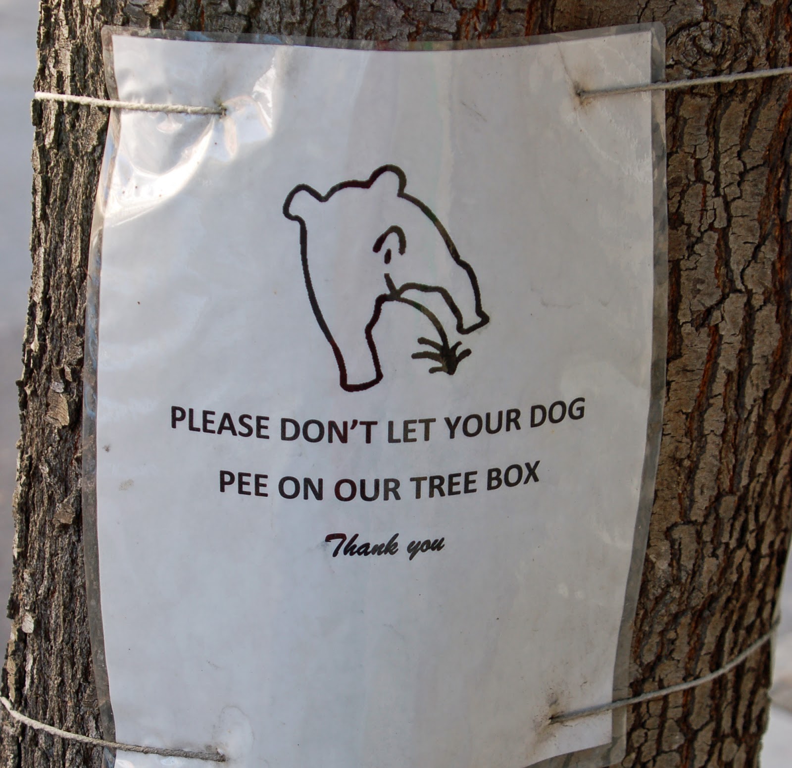 Can it happen here? On changing the world