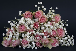 Sweet Images for WhatsApp Profile Sweet Images for WhatsApp Profile