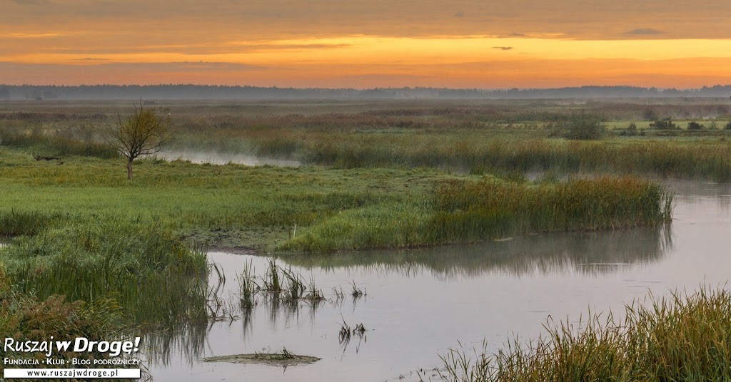 Biebrza o wschodzie słońca