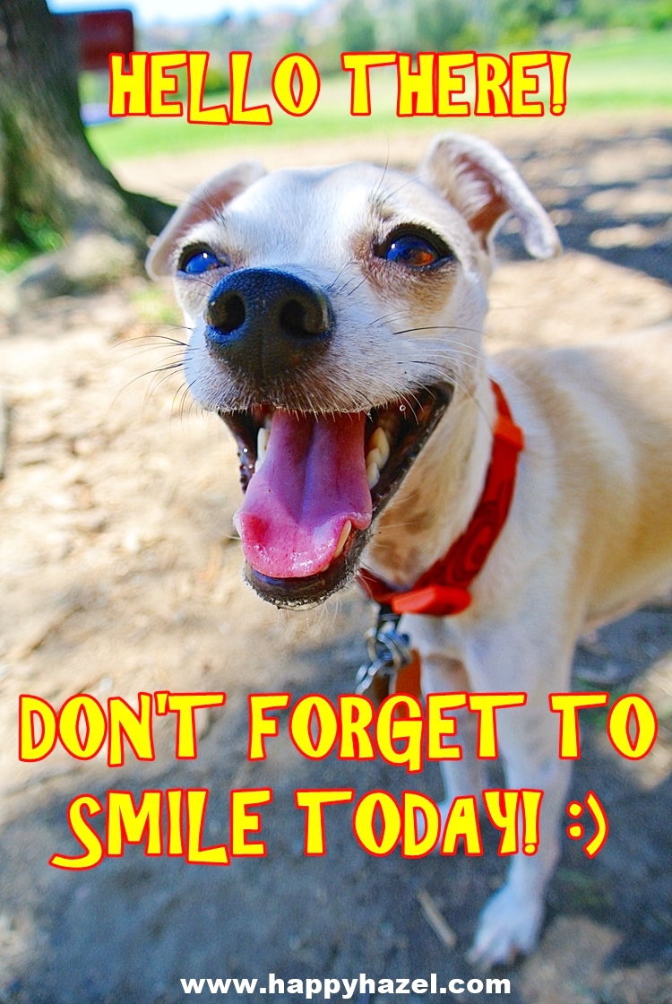 Hello there! Don't forget to Smile today!