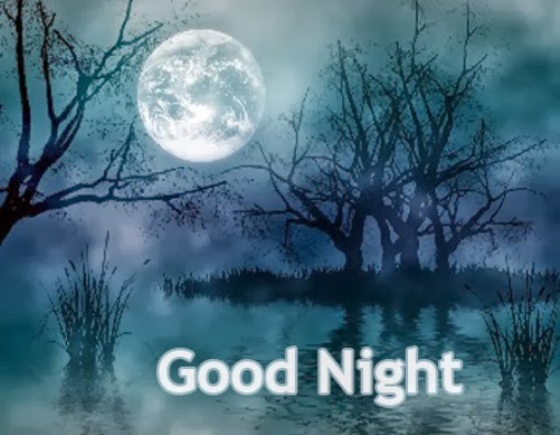 Best Good Night Shayari Collection for Girlfriend - Good Night Shayari ...