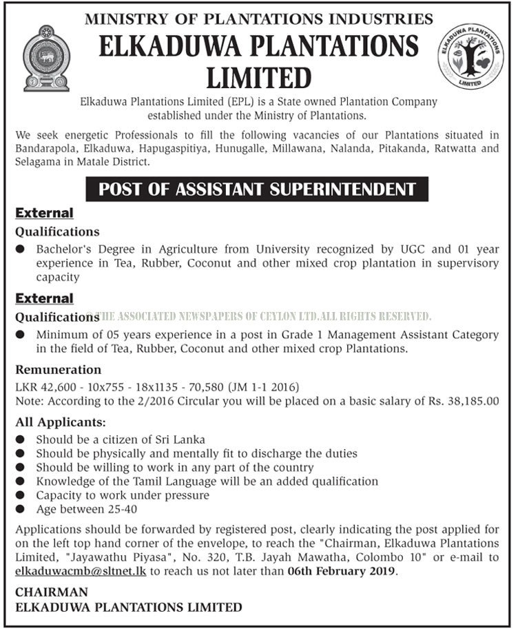 VACANCIES in Ministry of Plantations Industries Post of Assistant