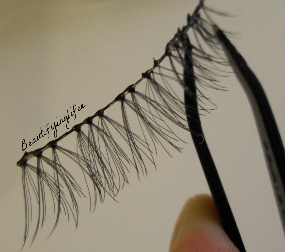 [REVIEW] Dolly Wink False Eyelashes (Natural Dolly) + Dolly Wink