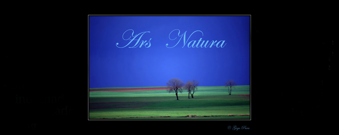 Ars Natura