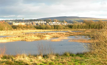 Freeman's Pools