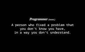 Definition of a programmer