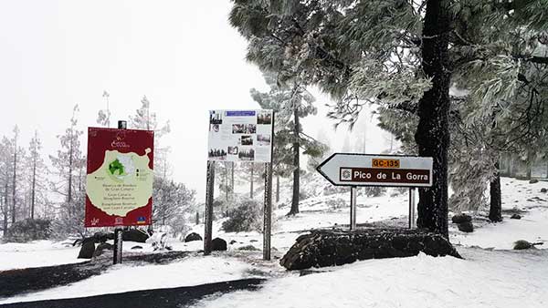 Se puede subir a la cumbre, menos al Pico de Las Nieves Se puede subir a la cumbre, menos al Pico de Las Nieves