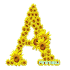 caghrexensi