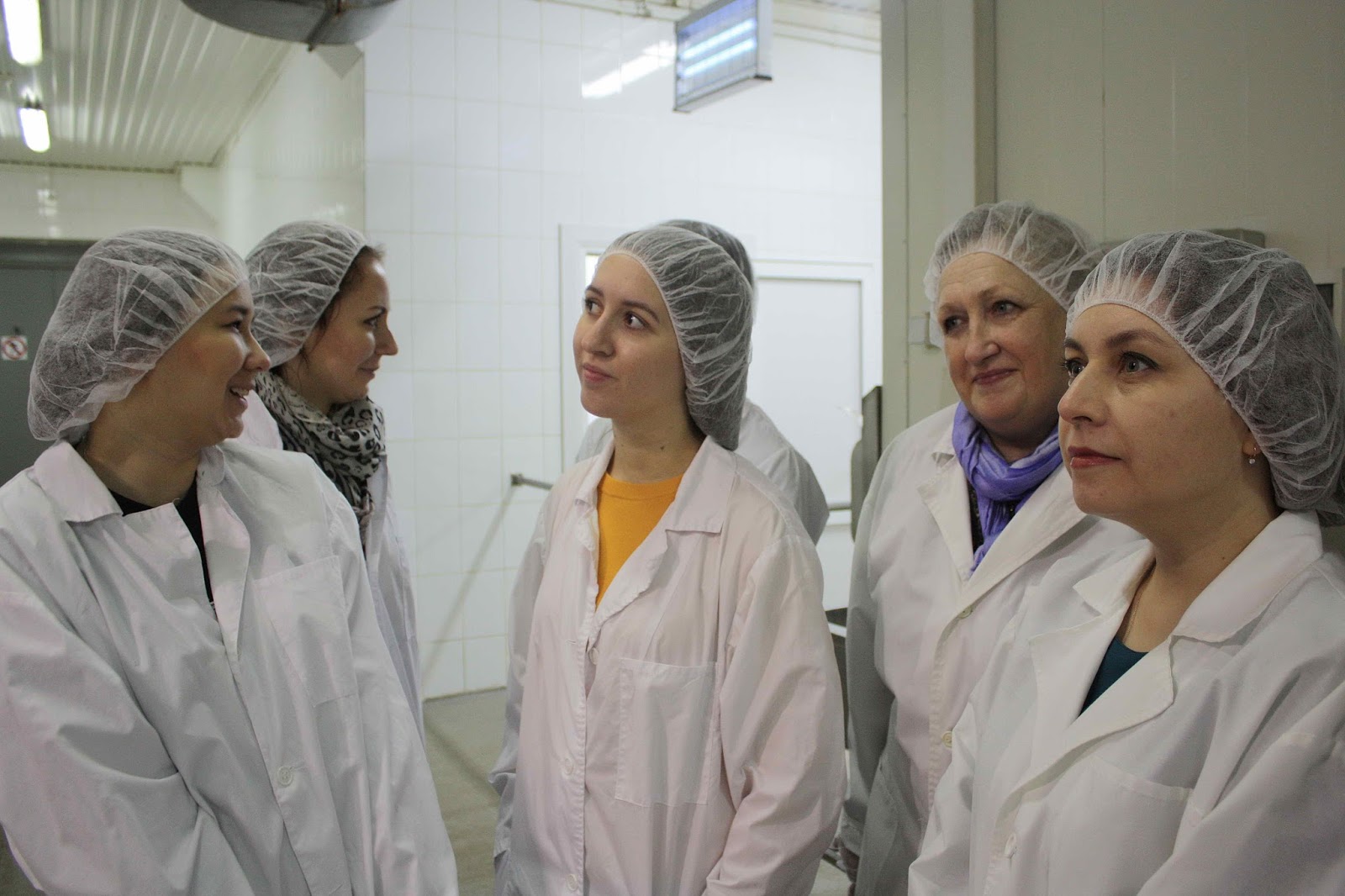 группа компаний талина. талина саранск официальный сайт. талина мпк атяшевский ооо. генеральный директор талина саранск. ооо талина саранск.