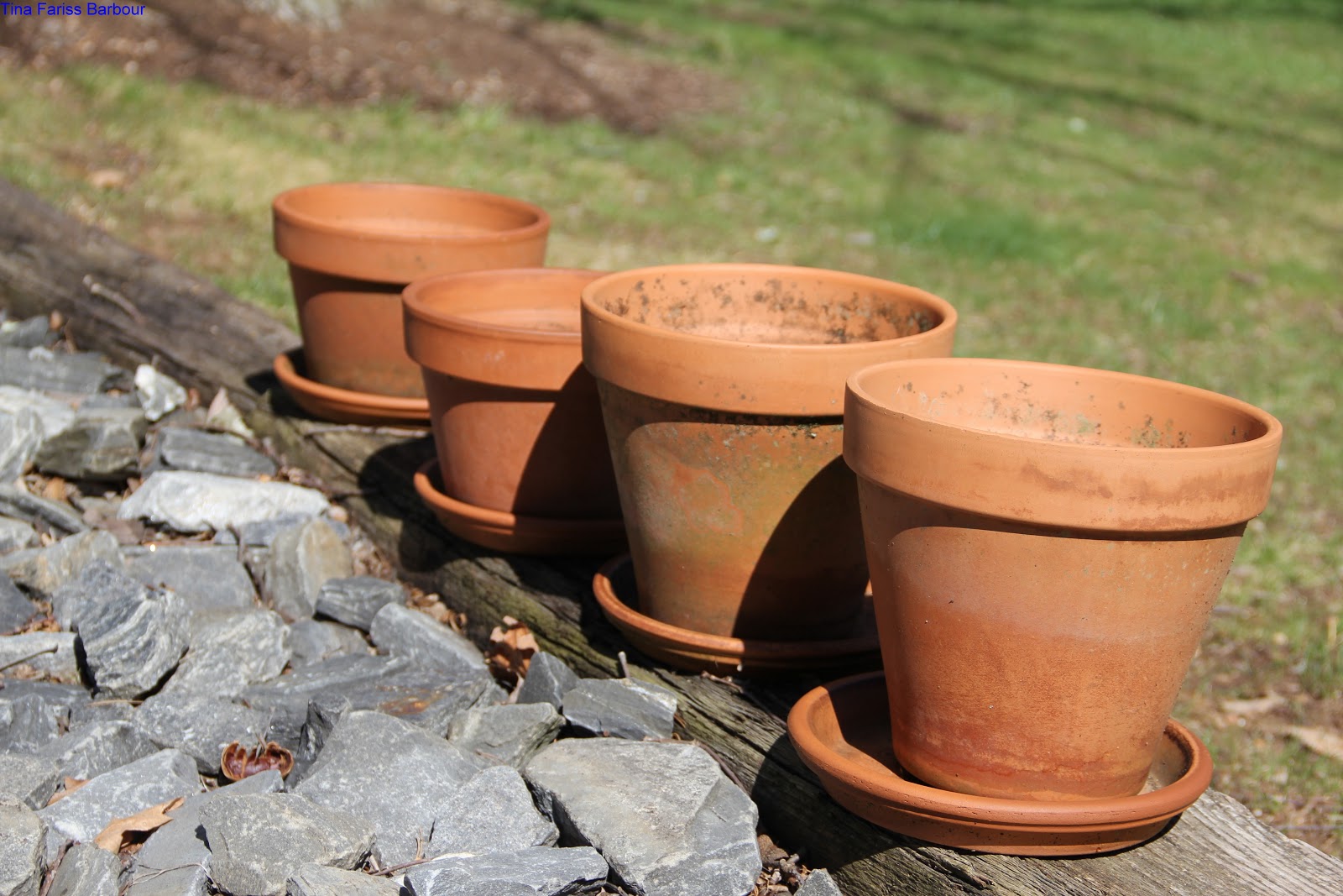 Bringing along OCD . . . Around home Random 5 Friday