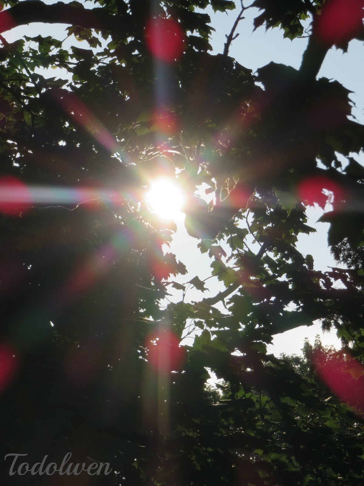 Todolwen Early Sunday Morning