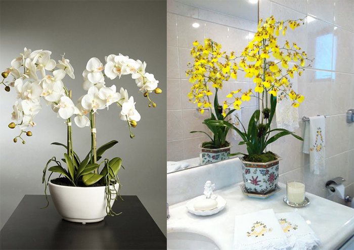 Plantas para decorar seu banheiro! Abrir Janela -> Banheiro Decorado Com Planta Artificial Plantas para decorar seu banheiro! Abrir Janela -> Banheiro Decorado Com Planta Artificial